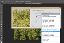 Photo of Как подобрать правильный размер