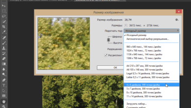 Photo of Как подобрать правильный размер