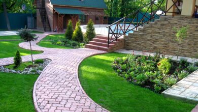 Photo of Проекты по созданию мини-сада на балконе