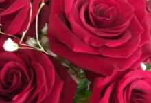 Photo of Рукодельные подарки для близких