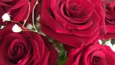 Photo of Рукодельные подарки для близких